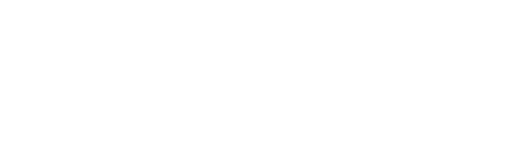 ACE PROJECT